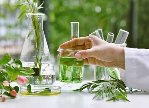 demo Home-about demo Home-about